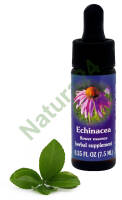 FES Echinacea 7,5 ml krople