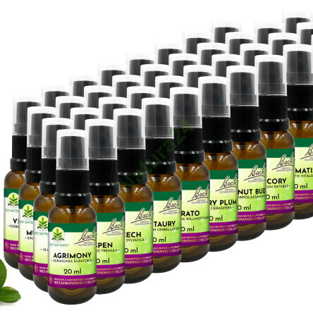 Zestaw 38 Kompozycji Bach Original Flower Remedies Nelson 20ml + 2 butelki - 4