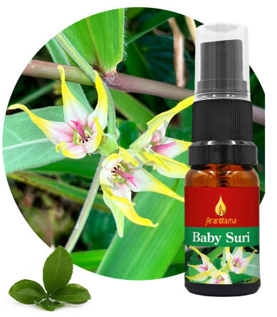 39. Baby Suri 10 ml Ararêtama Rainforest Essences