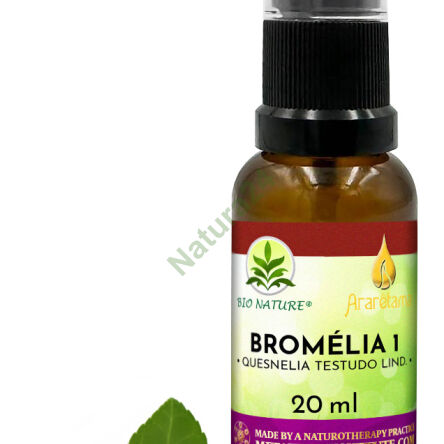 03. Bromélia 1 - Kompozycja Ararêtama 20ml - 2