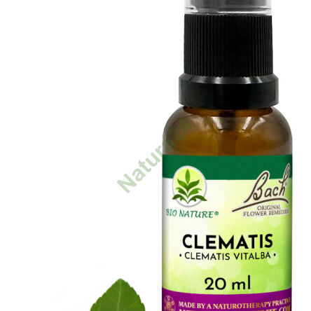 09. CLEMATIS / Kletter-Waldrebe - Bach Original Blütenessenzen Nelson 20ml - 2