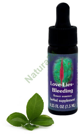 FES Love-Lies-Bleeding 7,5 ml Tropfen
