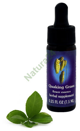 FES Zittergras 7,5 ml Tropfen
