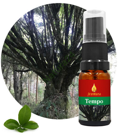 61. Time Tempo 10 ml Ararêtama Rainforest Essences
