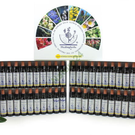 Bach-Essenz-Set 40x 10 ml - 2