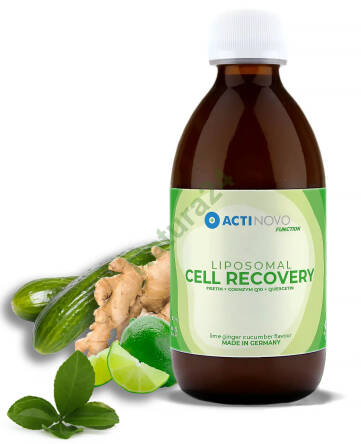 Liposomalny Cell Recovery - Ogórek, Imbir & Limonka 250ml ActiNovo KRÓTKI TERMIN -50%