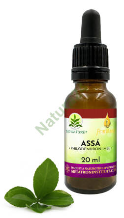 02. Assá - Kompozycja Ararêtama 20ml