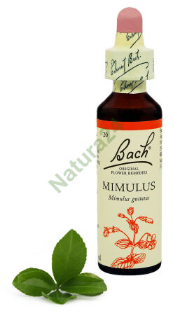 20. MIMULUS / Gelber Tropfen / Maskenblume 20 ml Nelson Bach Original Flower Remedies