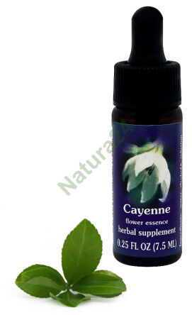 FES Cayenne 7,5 ml Tropfen