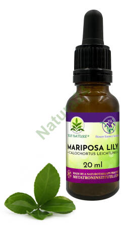 054. Mariposa Lily - Kompozycja FES 20ml