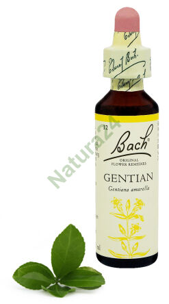12. GENTIAN / Bittere Enzian 20 ml Nelson Bach Original Blütenessenzen