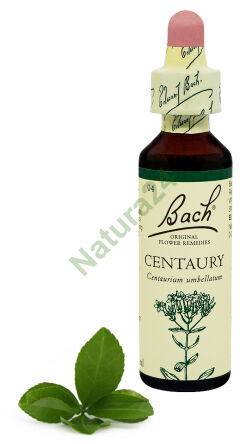 4. CENTAURY / Tausendgüldenkraut 20 ml Nelson Bach Original Flower Remedies Englisch