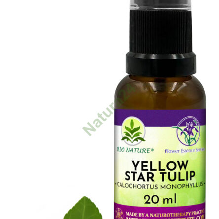101. Yellow Star Tulip - Kompozycja FES 20ml - 2