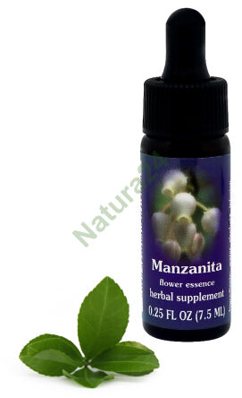 FES Manzanita 7,5 ml Tropfen