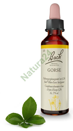 13. GORSE / Kolcolist zachodni 20 ml Nelson Bach Original Flower Remedies deutsch