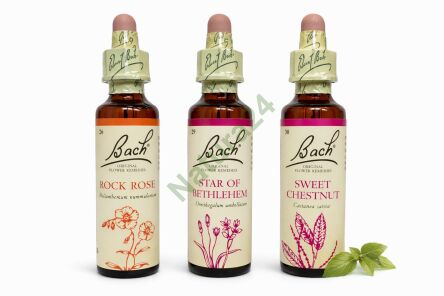 Zestaw wsparcia w doświadczeniu traumy