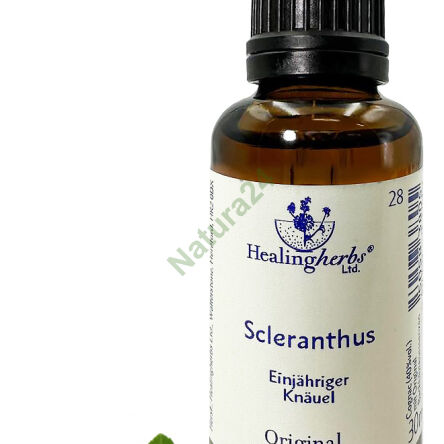 28. SCLERANTHUS / Einjährige Knäuel 10/30 ml oder Globuli 15 g - 3
