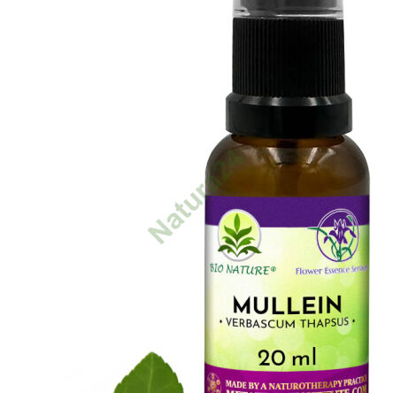 060. Mullein - Kompozycja FES 20ml - 2