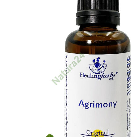 1. AGRIMONIE / Gemeiner Odermennig 10/30 ml oder Globuli 15 g - 3