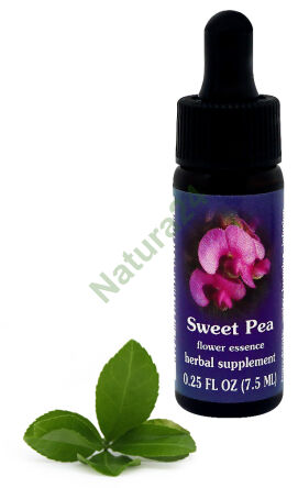 FES Süßer Erbse 7,5 ml Tropfen