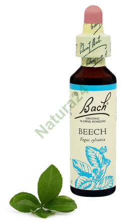 3. BUCHE / Rotbuche  20 ml Nelson Bach Original Blütenessenzen