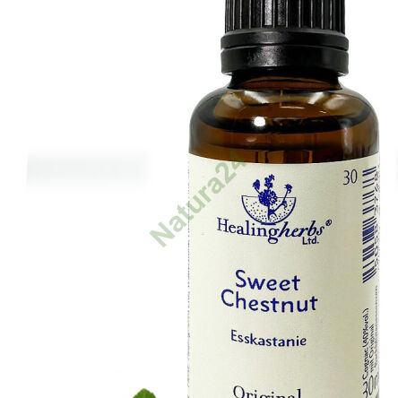 30. SWEET CHESTNUT / Kasztan jadalny 10/30 ml lub globulki 15 g - 3