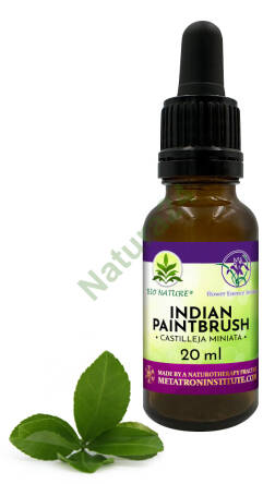 043. Indian Paintbrush - Kompozycja FES 20ml