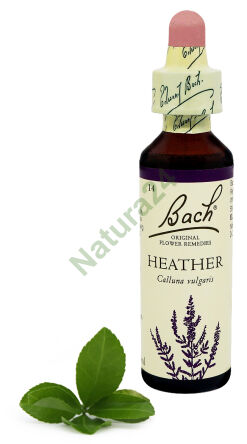 14. HEIDE / Gewöhnlicher Heidekraut 20 ml Nelson Bach Original Flower Remedies
