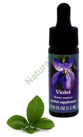 FES Veilchen 7,5 ml Tropfen