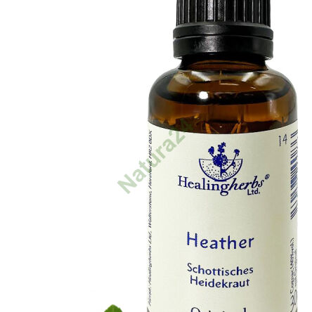 14. HEIDE / Gewöhnlicher Heidekraut 10/30 ml oder Globuli 15 g - 3