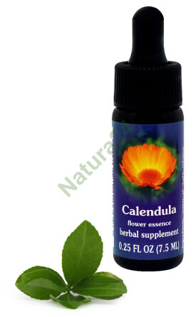 FES Calendula 7,5 ml Tropfen
