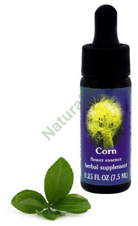 FES Mais 7,5 ml Tropfen