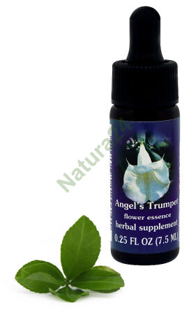 FES Engelstrompete 7,5 ml Tropfen