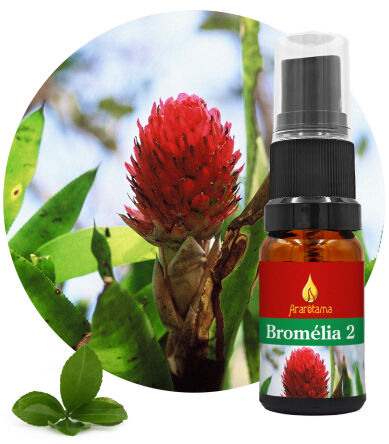 04. Bromélia 2 10 ml Ararêtama Rainforest Essences