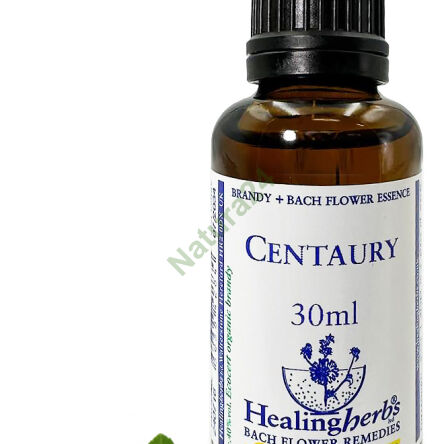 4. CENTAURY / Gewöhnliche Centurie 10/30 ml oder Globuli 15 g - 3
