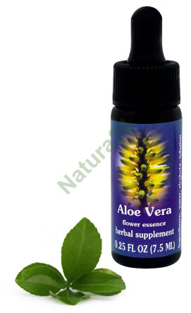 FES Aloe Vera 7,5 ml Tropfen
