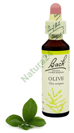 23. OLIVE / Olive 20 ml Nelson Bach Original Flower Remedies