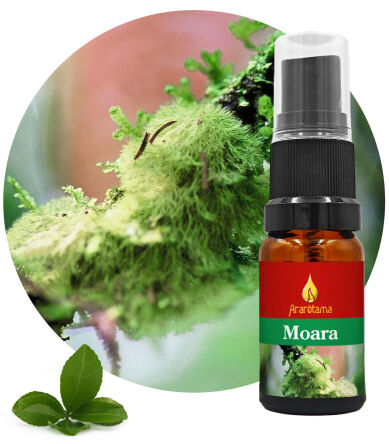 18. Moara 10 ml Ararêtama Rainforest Essences