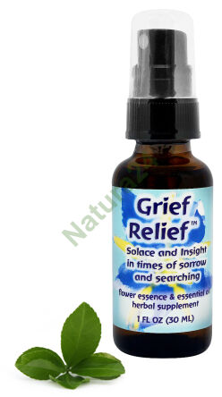 FES Trauerhilfe Beruhigung und Einsicht in Zeiten von Trauer und Suche 30 ml Spray
