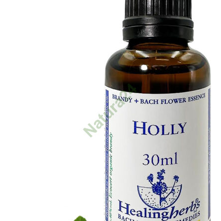 15. HOLLY / Stechpalme stachelig 10/30 ml oder Globuli 15 g - 3
