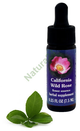 FES California Wild Rose 7,5 ml Tropfen