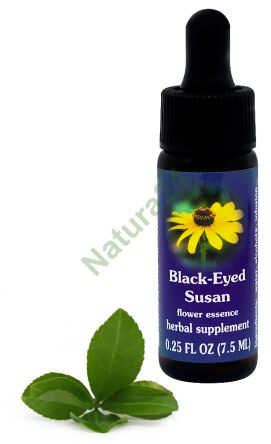 FES Schwarze-Sonnenblume 7,5 ml Tropfen