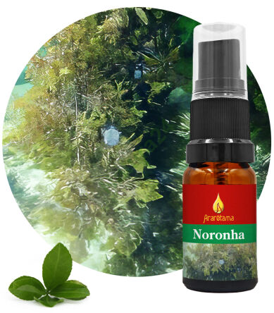 19. Noronha 10 ml Ararêtama Rainforest Essences