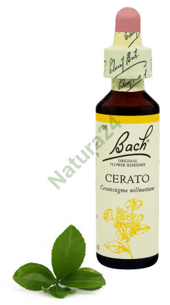 5. CERATO / Cerato 20 ml Nelson Bach Original Blütenessenzen