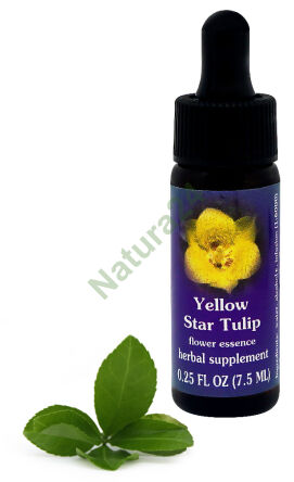 FES Gelbe Stern-Tulpe 7,5 ml Tropfen