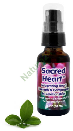 FES Heiliges Herz Integration der Kraft des Herzens und des Mitgefühls in Beziehungen 30 ml Spray