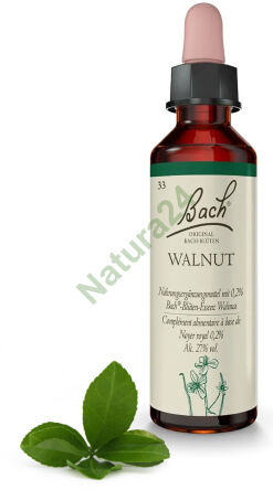 33. WALNUT / Orzech włoski 20 ml Nelson Bach Original Flower Remedies deutsch