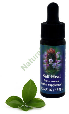 FES Selbstheilung 7,5 ml Tropfen