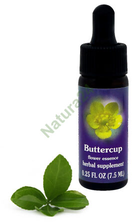 FES Butterblume 7,5 ml Tropfen