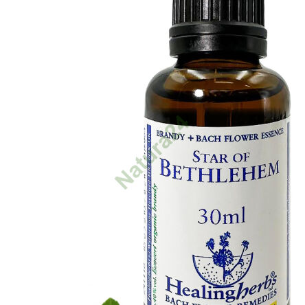 29. STERN VON BETHLEHEM / Stern von Bethlehem / Doldiger Silberblatt 10/30 ml oder Globuli 15 g - 3